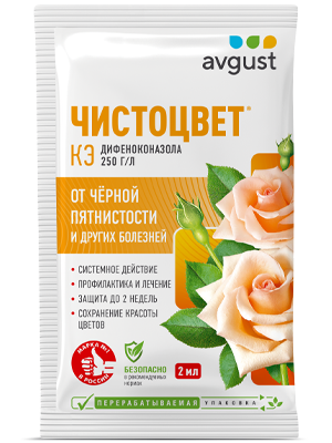 Чистоцвет®: купить оптом по цене производителя