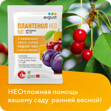 Плантенол НЕО