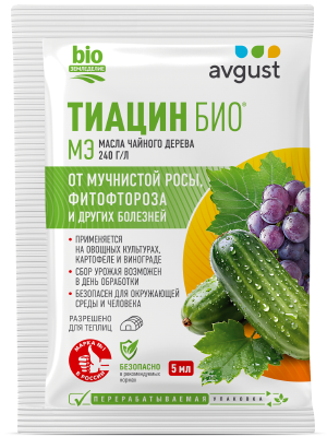 Тиацин Био®: купить оптом по цене производителя