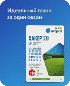 Хакер® 300
