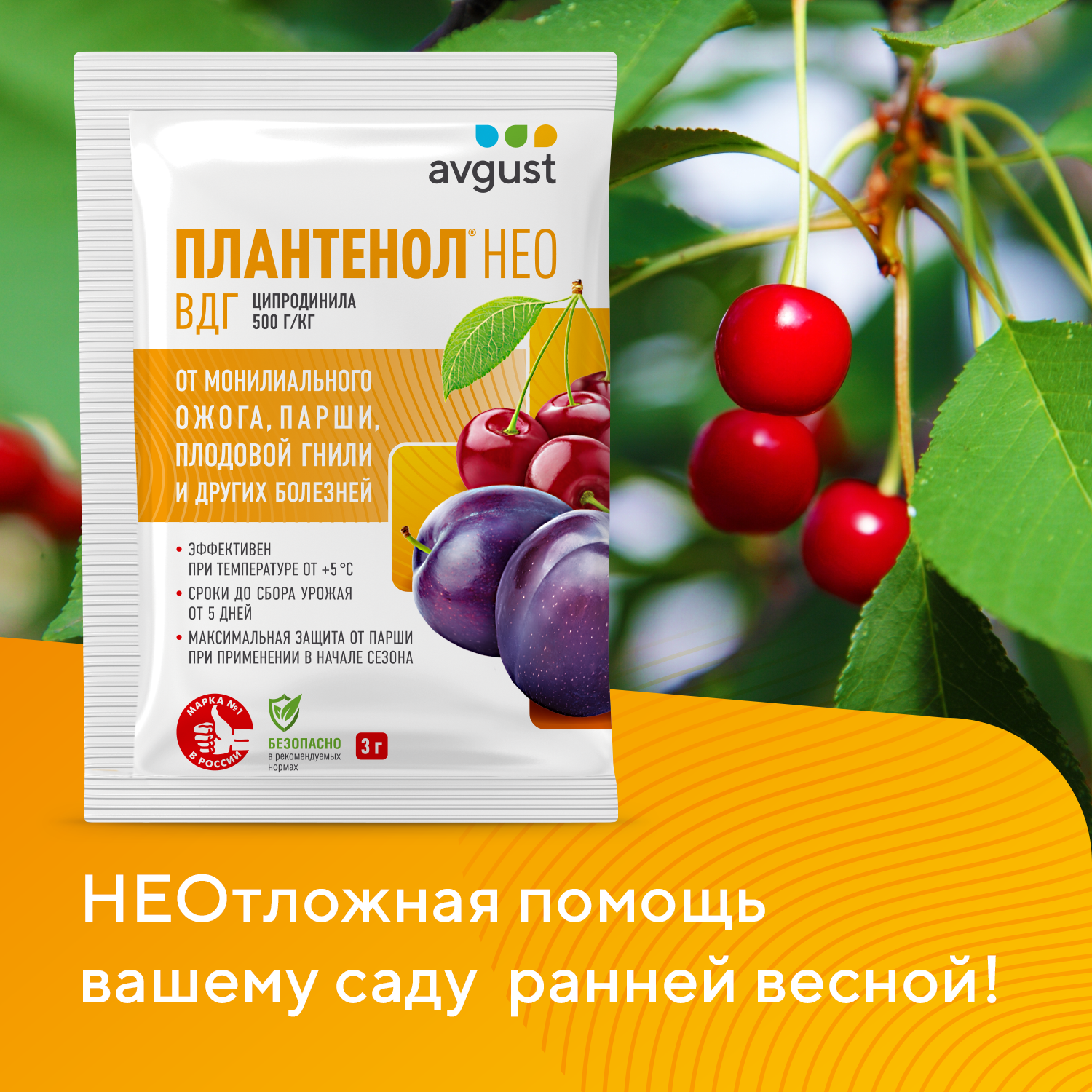 Плантенол НЕО