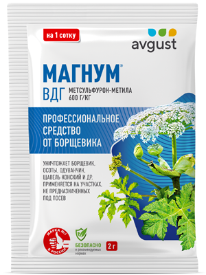 Магнум®: купить оптом по цене производителя