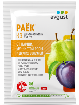 Раёк®: купить оптом по цене производителя