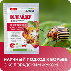 Коллайдер