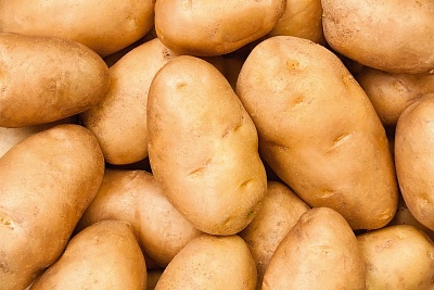 Комплекс мер по защите картофеля
