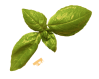 p-small2.png