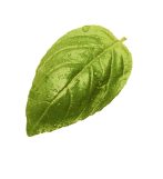 p-small3.png